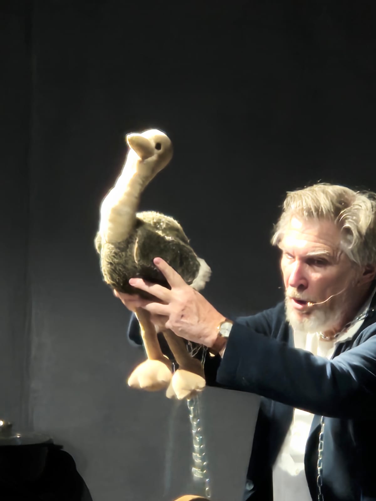 Adler.Abflug.WhatsApp Image 2025-11-04 at 09.30.53(3)